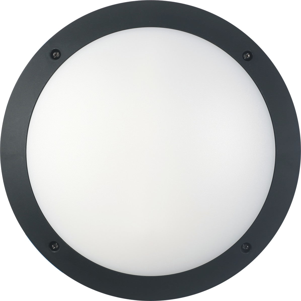BULK: Round LED Bulkhead Lights IP66 IK10