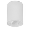 SURFACE: GU10 Round Gimbal Surface Mounted Ceiling Downlights