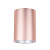 SURFACE: GU10 Surface Mounted Ceiling Downlights