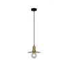 CHAPEAU: Interior Glass Coolie Small Pendant Lights