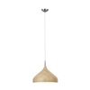ZARA: Modern Dome Shape Pendant Lights