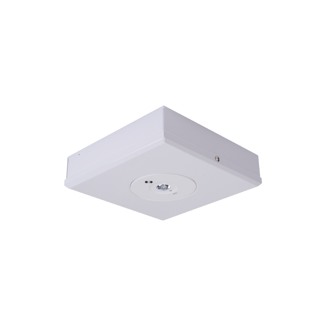 3.5W S/M LED EMERGENCY LIGHT NON-MAIN D63 CLASS