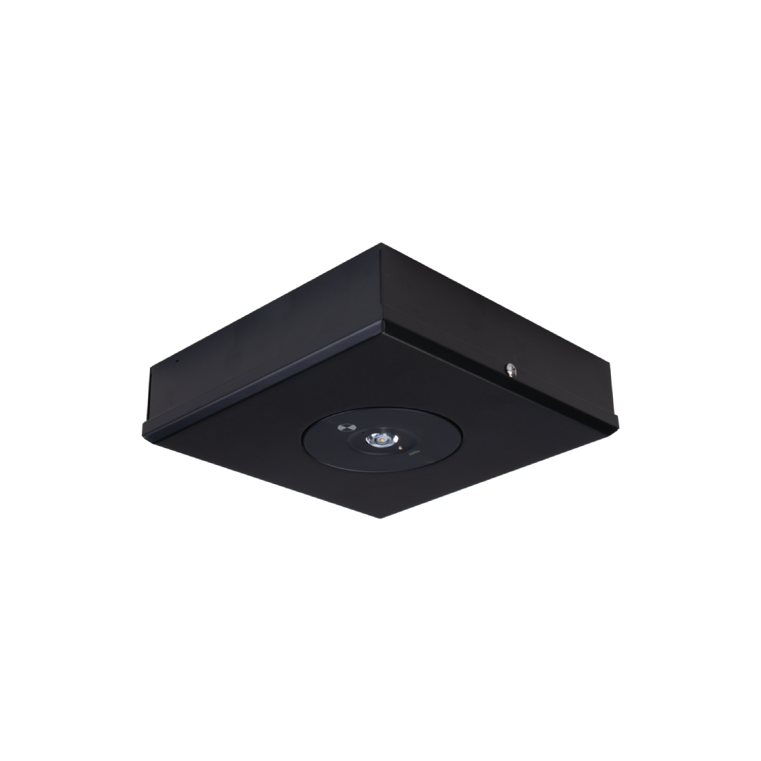 3.5W S/M LED EMERGENCY LIGHT NON-MAIN D63 CLASS