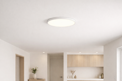 Batten Fix Lights: Simple Ceiling Lighting Solutions Explained