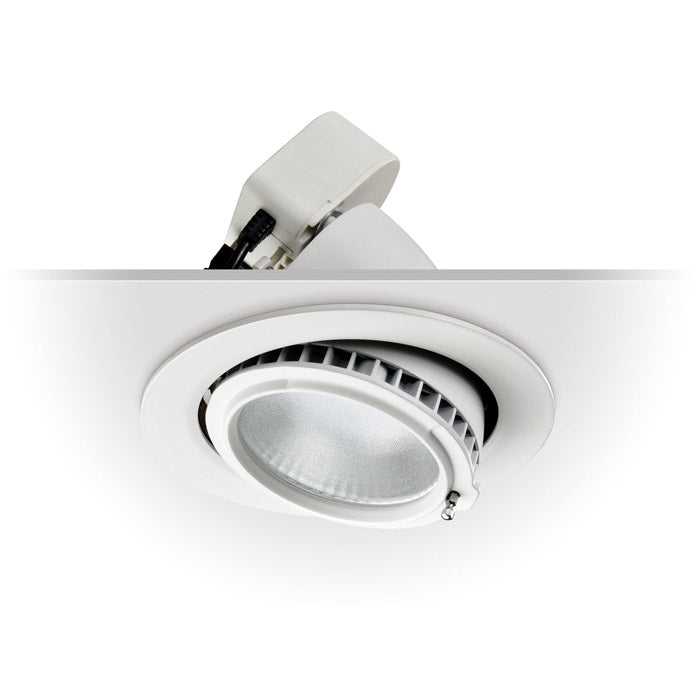 20W Premium Adjustable LED Downlight (5500K)