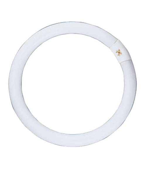 T9 Circular Fluorescent Globes