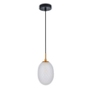 KATHAL: Interior Ellipse Glass Segmented with Brass Highlight Enclosed Pendant Lights