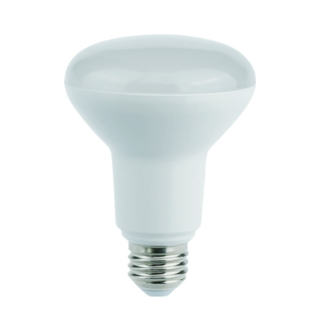 R63 & R80 LED Globes