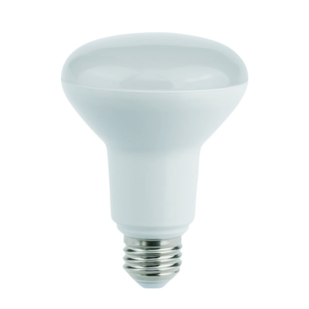 R63 & R80 LED Globes