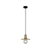 CHAPEAU: Interior Glass Coolie Small Pendant Lights