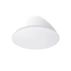 CASSIA 28w OYSTER