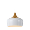 POLK 30 PENDANT