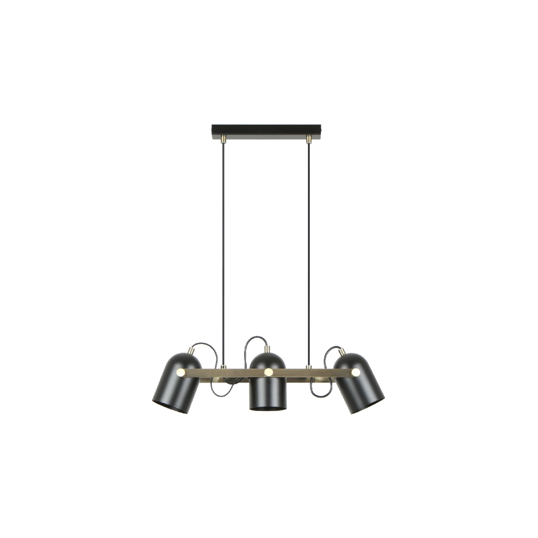 TAZZA: Interior Ellipse Shade with Antique Brass Hardware Pendant Light