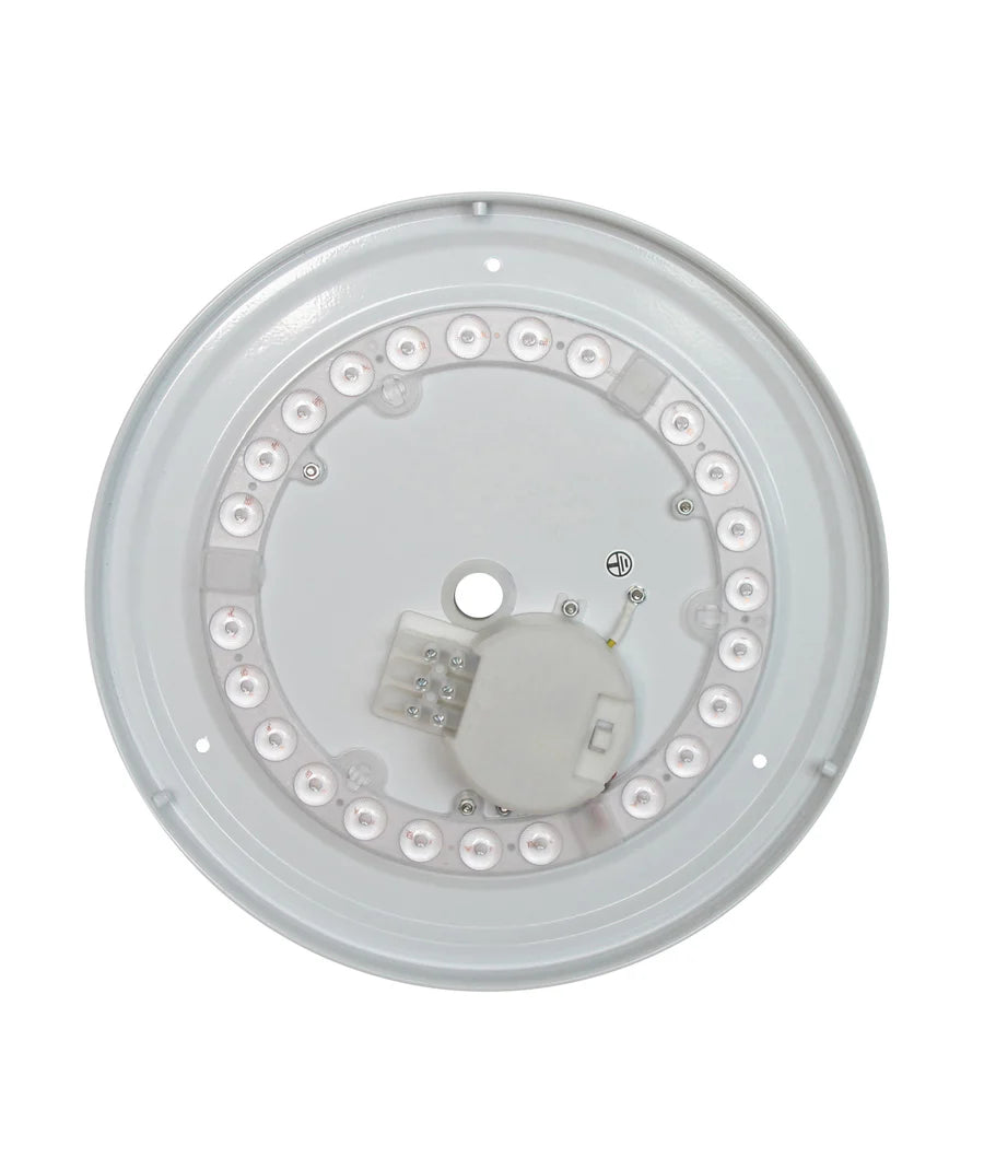 LED Dimmable Tri-CCT Oyster Lights