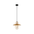 PAPILLON: Interior Oblong Iron with Glass Coolie Pendant Lights