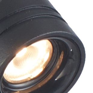 RILTO SPIKE LIGHT
