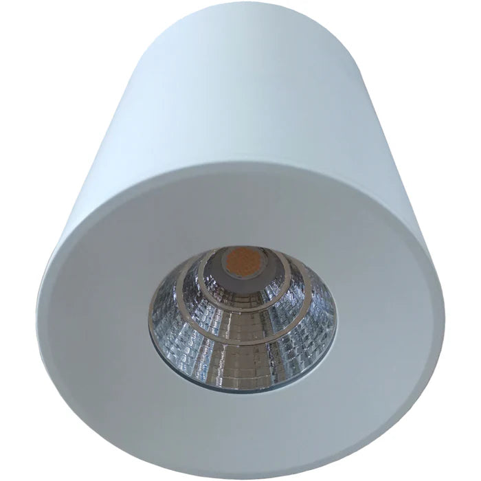 USD3018-BLK/WH-3CCT IRIS 14W Surface Mounted LED Downlight
